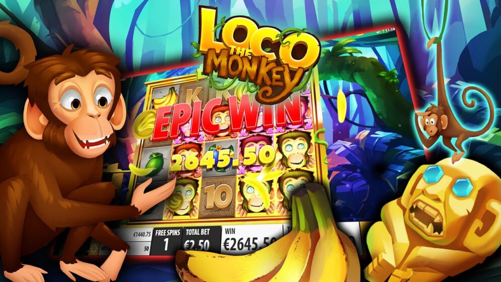 Loco the Monkey — Quickspin